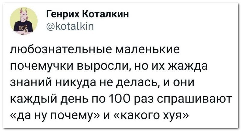 Не ищите здесь смысл. Здесь в основном маразм