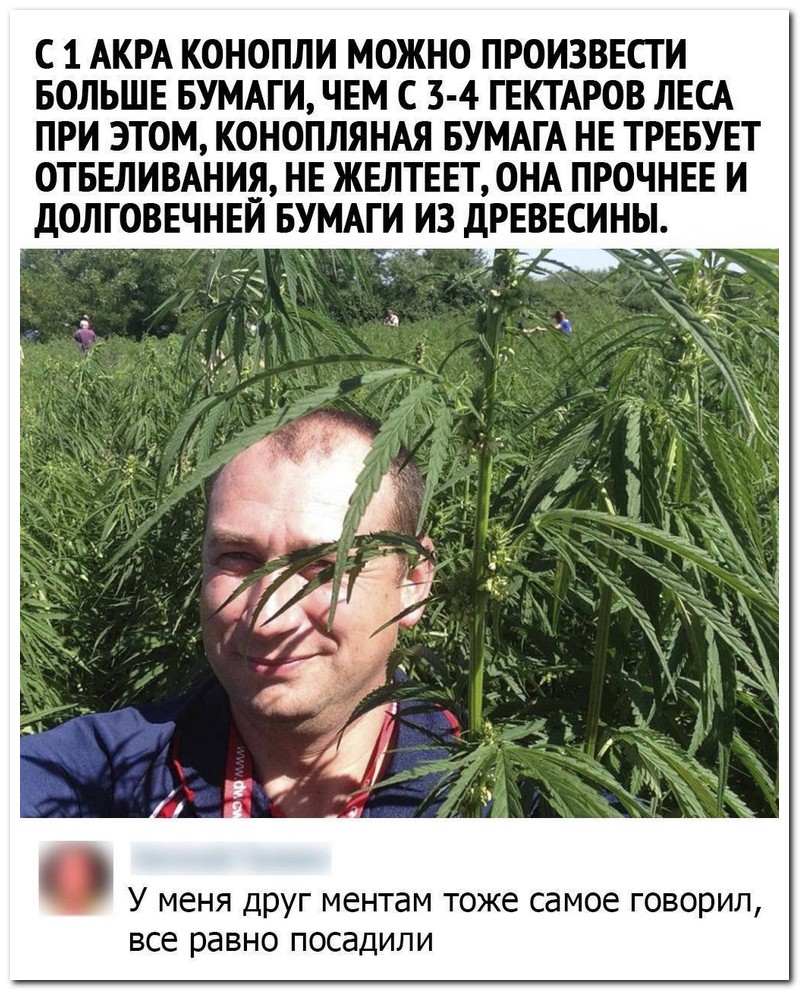 Не ищите здесь смысл. Здесь в основном маразм