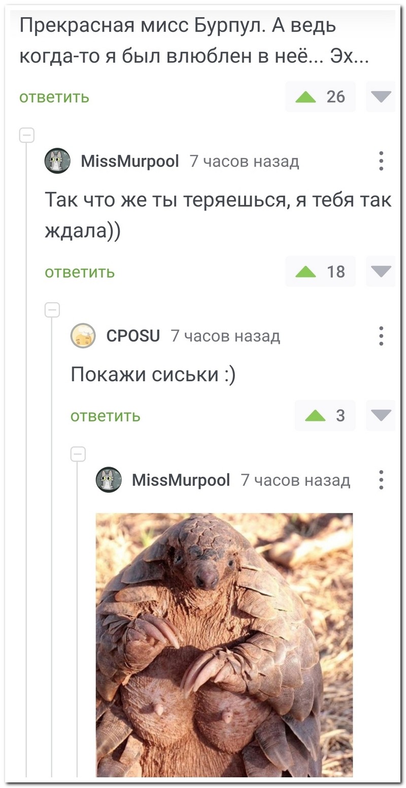 Не ищите здесь смысл. Здесь в основном маразм