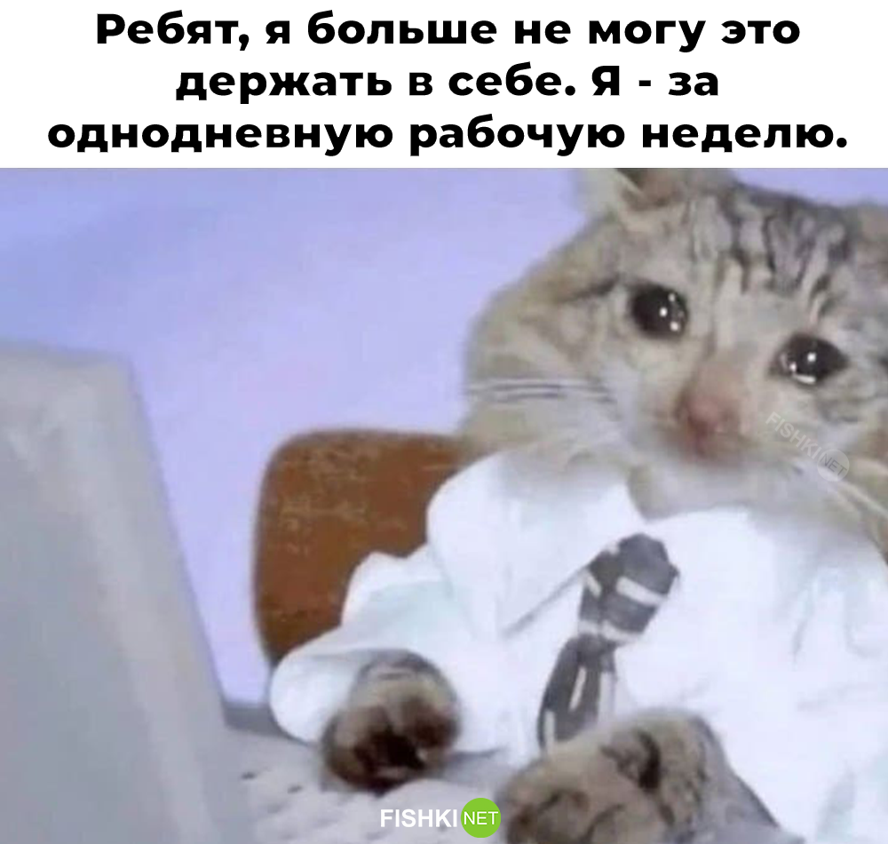 Не ищите здесь смысл. Здесь в основном маразм от АРОН за 23 декабря 2025