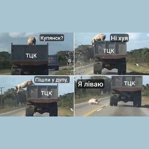 О политике и лишь о ней