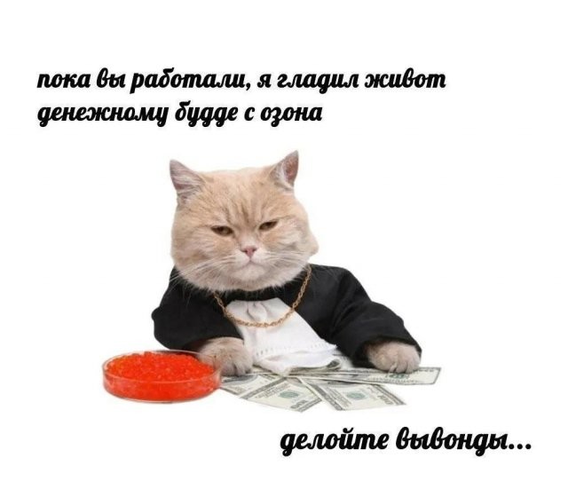 Скрины из соцсетей