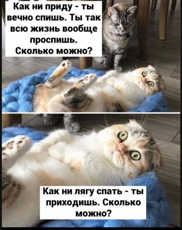 Скрины из соцсетей
