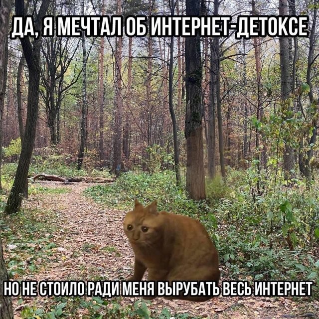 Скрины из соцсетей