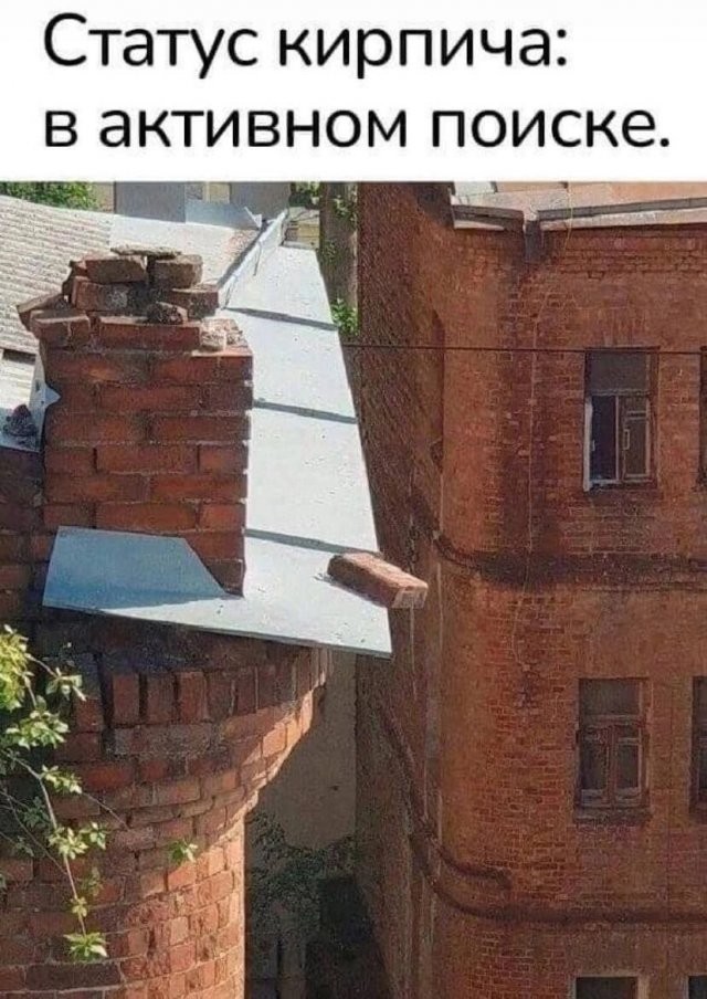 Скрины из соцсетей