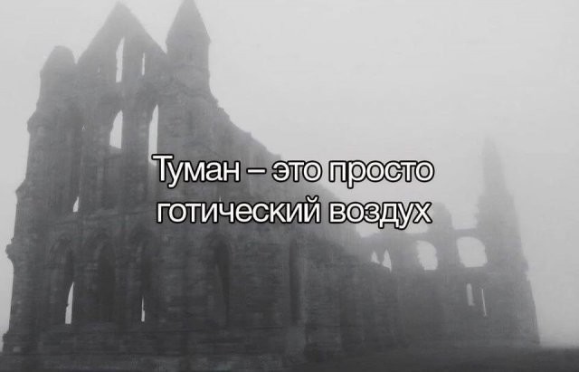 Скрины из соцсетей