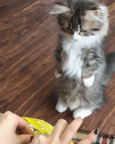 Вкусняшка