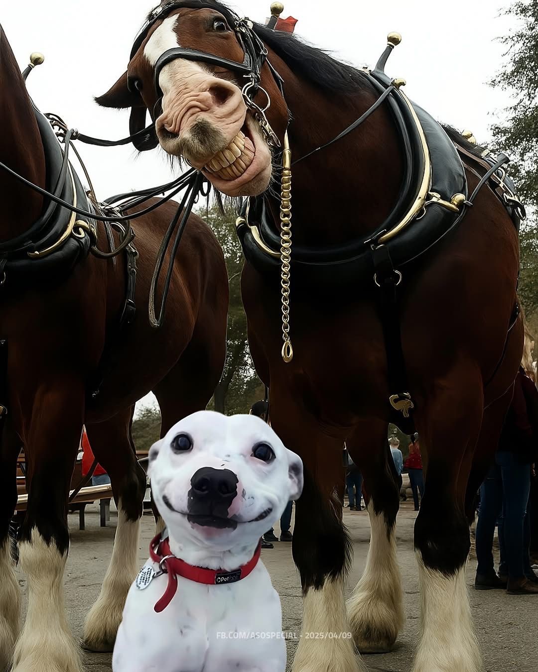 20. У каждого должен быть такой весёлый друг