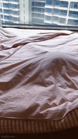 Просто гифки, всякие и&nbsp;разные