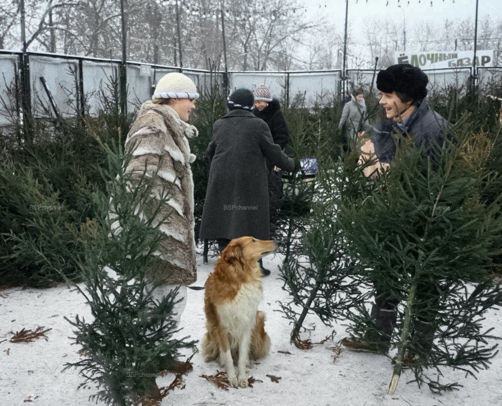 Советский Новый год в ностальгических фотографиях прошлых десятилетий⁠⁠