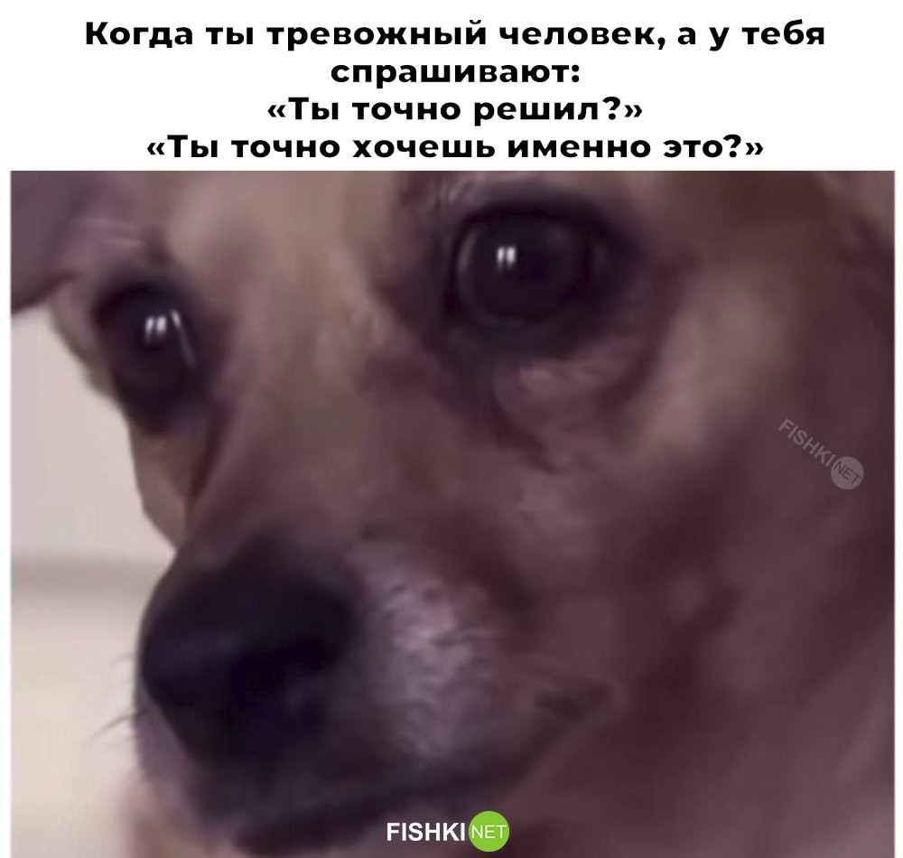 Смешные картинки