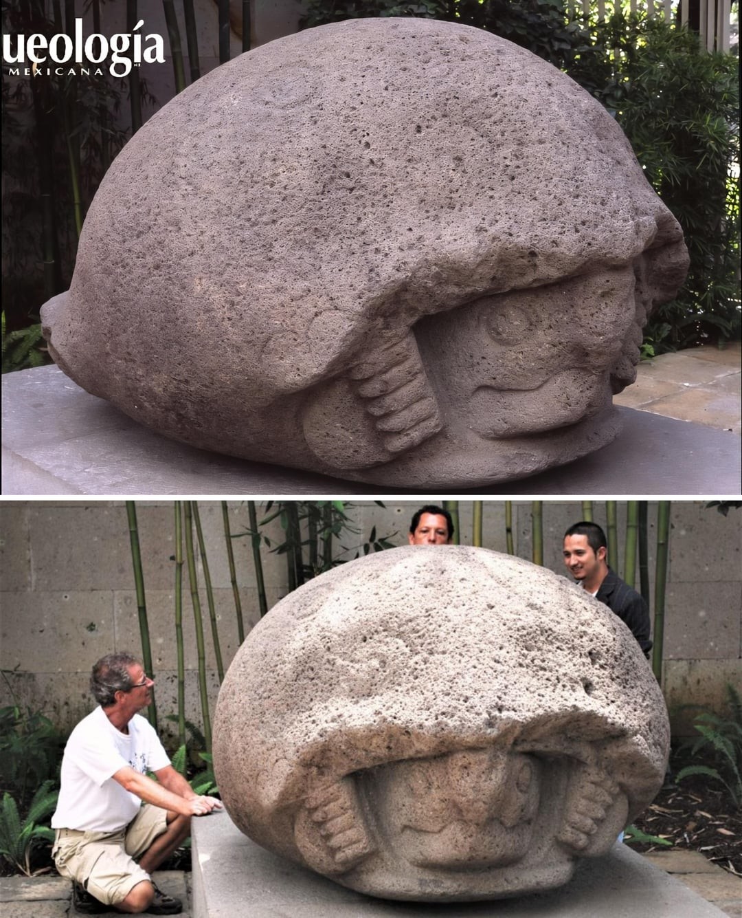 8. Монументальная скульптура черепахи из базальта культуры Веракрус. Постклассический период (900–1521 гг. н.э.). В настоящее время хранится в Музее антропологии в Халапе (Мексика)