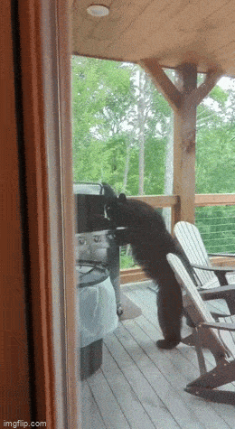 Просто гифки, всякие и&nbsp;разные