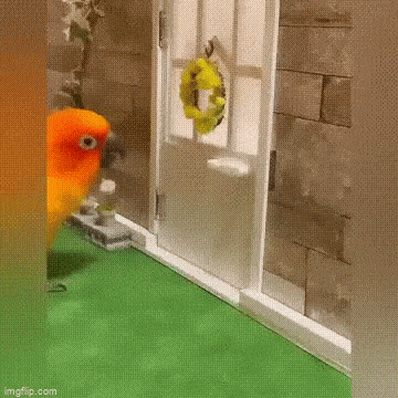 Просто гифки, всякие и&nbsp;разные