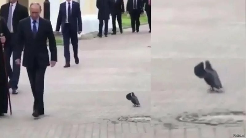 Лишь о политике