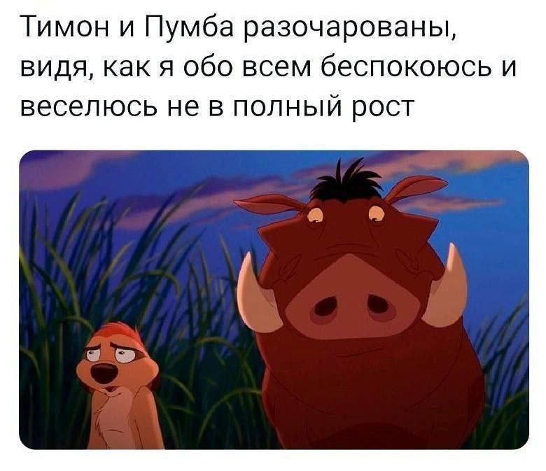 2. Друзья, не расстраивайте Тимона и Пумбу, не вешайте нос