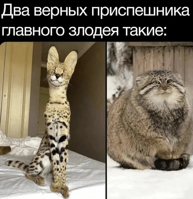 3. В диснеевском "Геркулесе" такие были