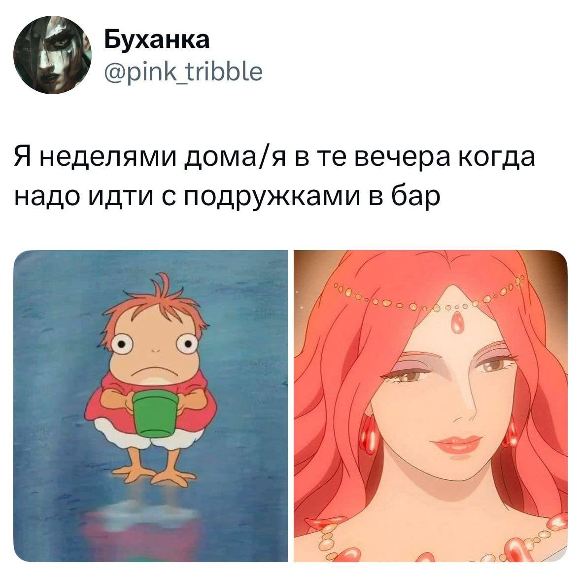 15. Рыбка Поньо в баре на утёсе