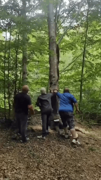 Просто гифки, всякие и&nbsp;разные