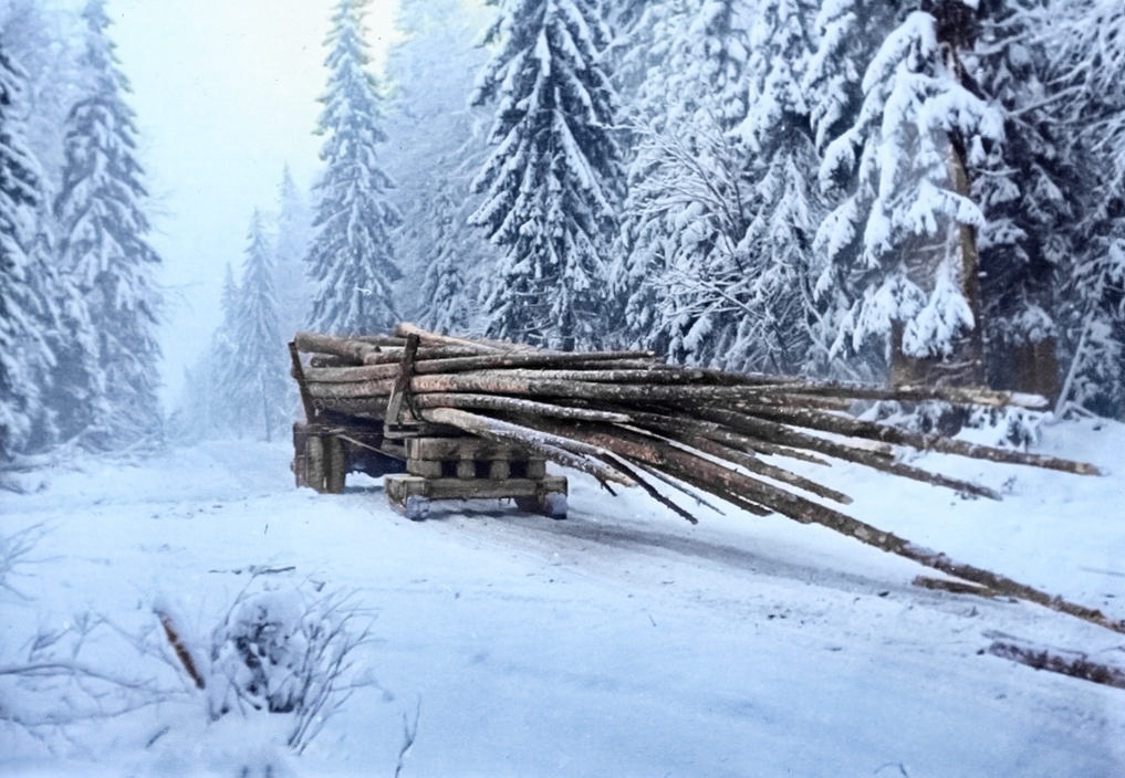 Ностальгические фотографии Советских зимних забав и просто интересных снимков