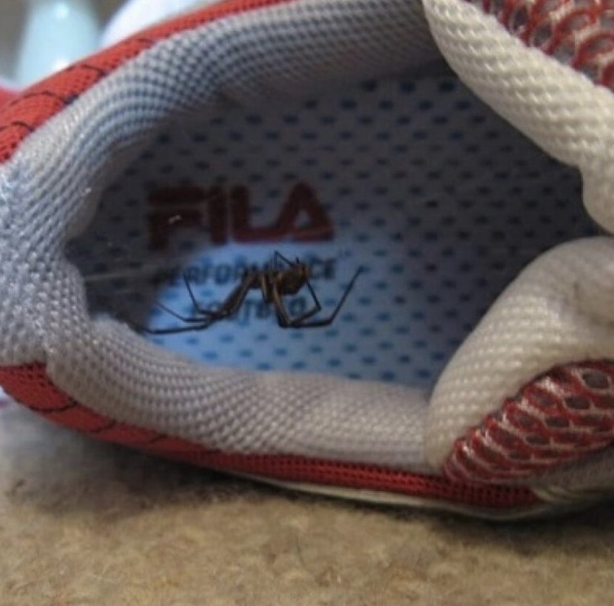 Утром неприятный сюрприз может ждать даже в обуви