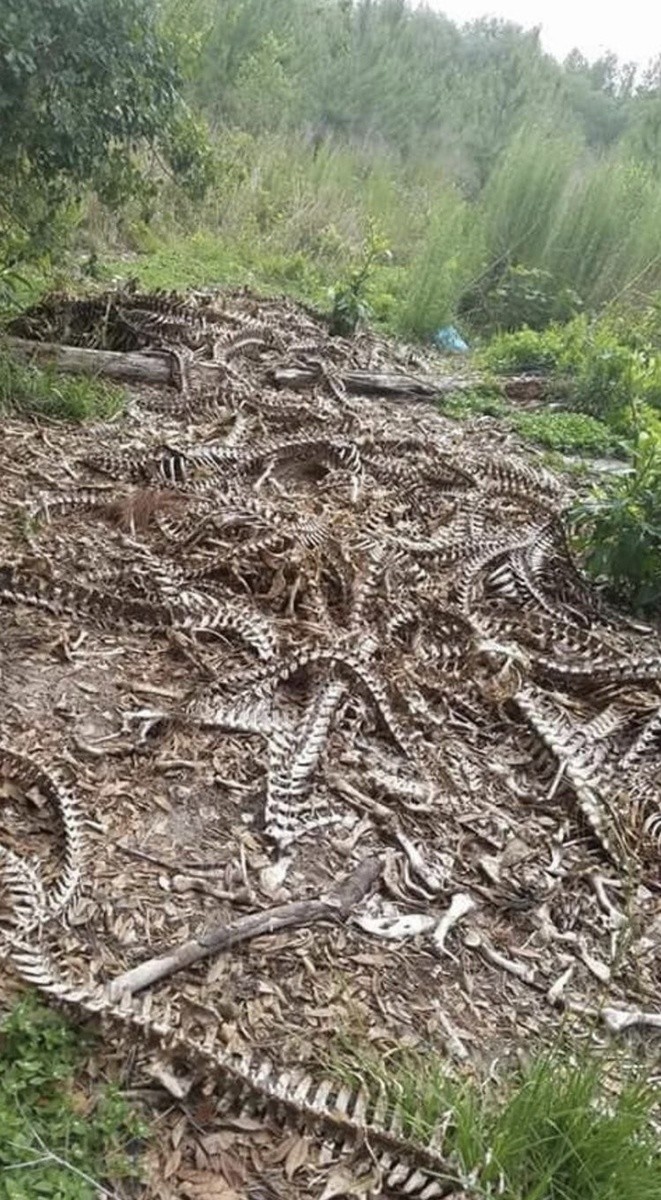 Путь, который хочется обойти