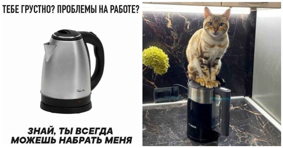 Поколение Z отменяет чайник: как будут выглядеть кухни через 50 лет