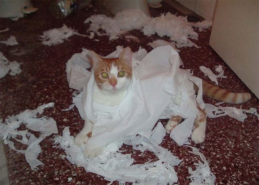 21. На сегодня всё