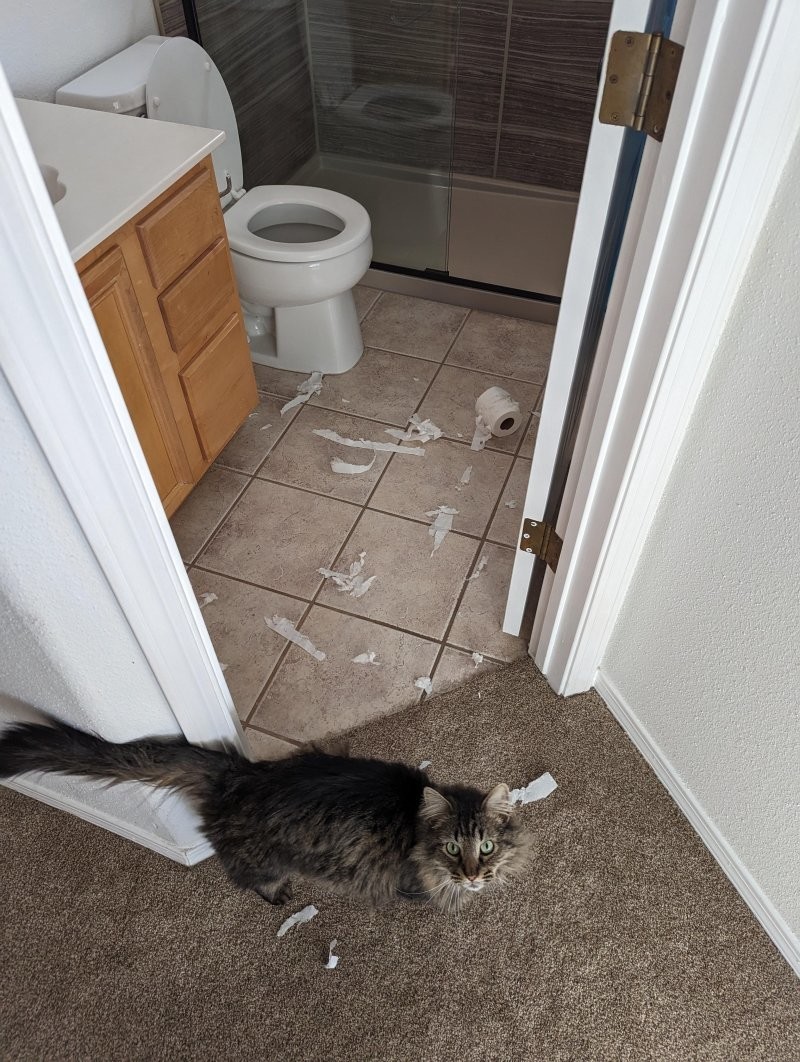 24. Ты не поверишь, тут такое было