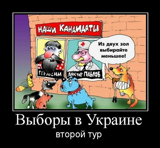 Лишь о политике и лишь о ней