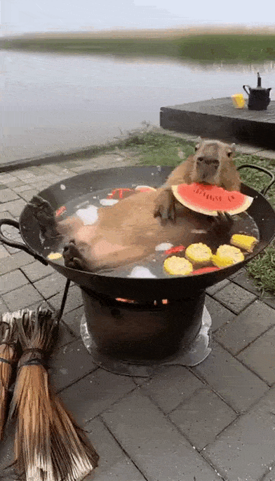 Просто гифки, всякие и&nbsp;разные