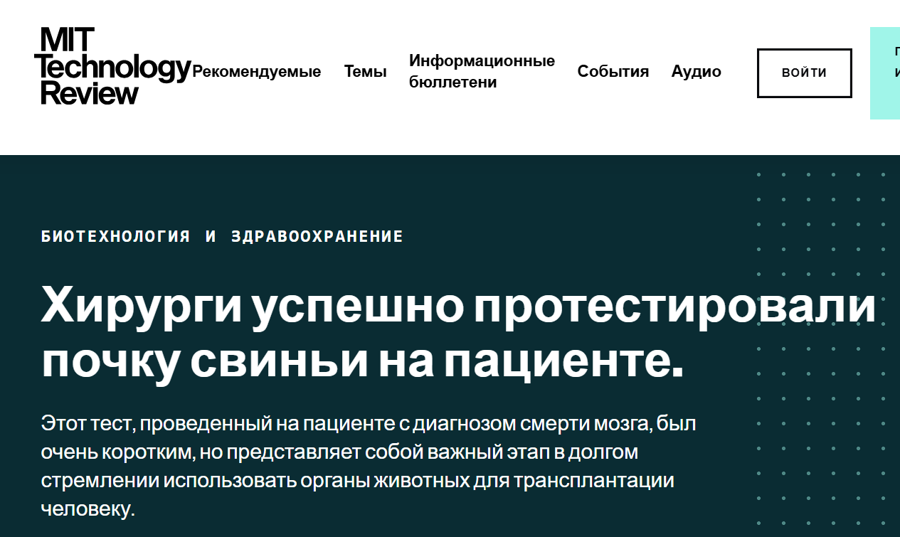 От свиньи к человеку: свиные почки скоро превзойдут человеческие в трансплантации органов