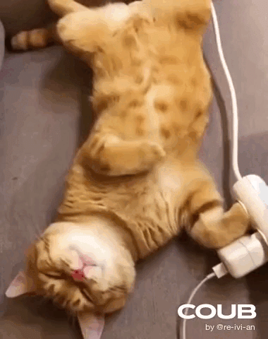 Просто гифки, всякие и&nbsp;разные