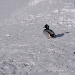 Просто гифки, всякие и&nbsp;разные