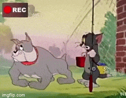 Просто гифки, всякие и&nbsp;разные