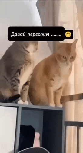 Просто гифки, всякие и&nbsp;разные
