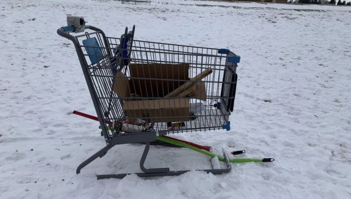 Креативная тележка для продуктов в одном из магазинов Канады. С такой никакая зима не страшна!