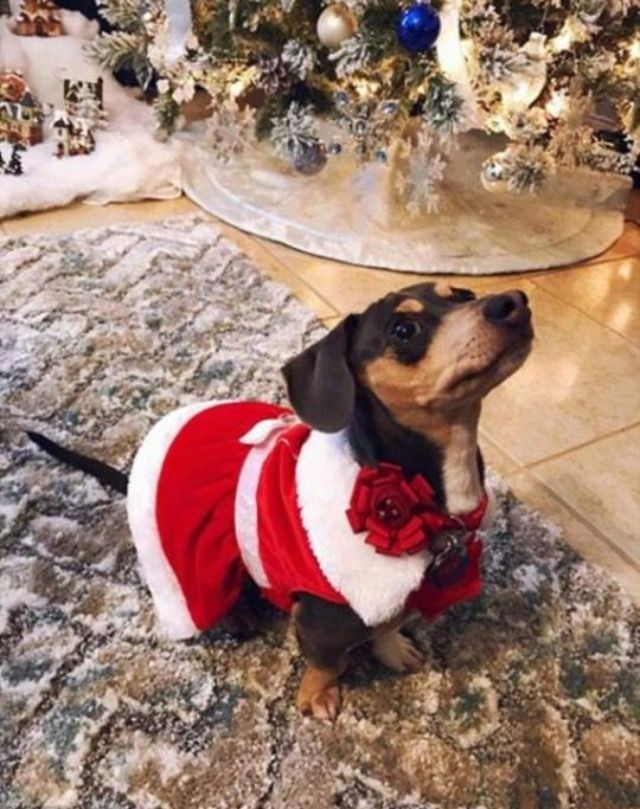 16. А когда подадут угощение?