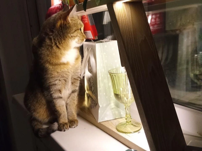 10. Мгновения волшебства