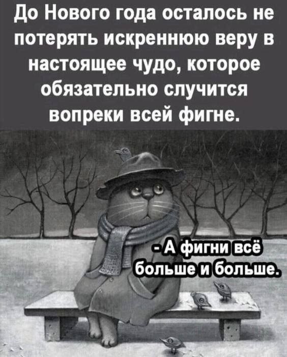 22. Не теряйте веру в чудо. С Наступающим!