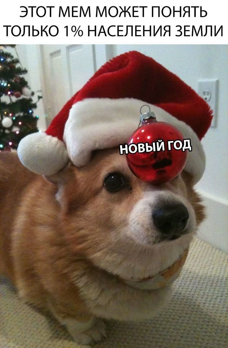 12. 