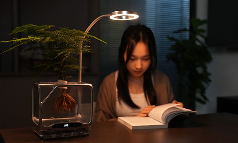 Прозрачный горшок для выращивания растений без почвы и полива