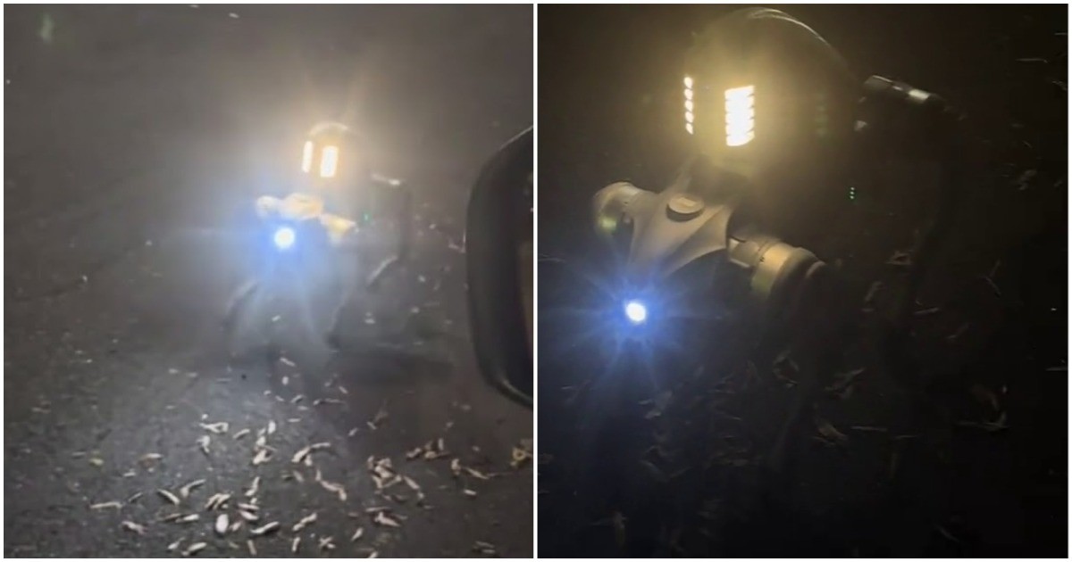 Робопёс заговорил с полицейским с индийским акцентом