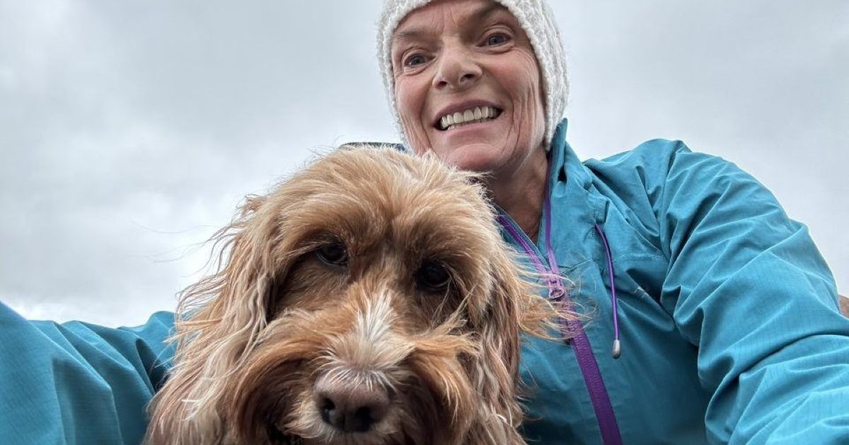 Притворилась мёртвой: стадо коров напало на женщину в Шотландии