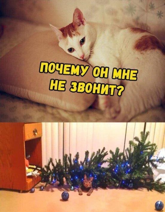 Скрины из соцсетей 