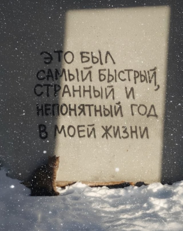 Скрины из соцсетей 
