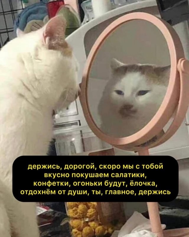 Скрины из соцсетей 