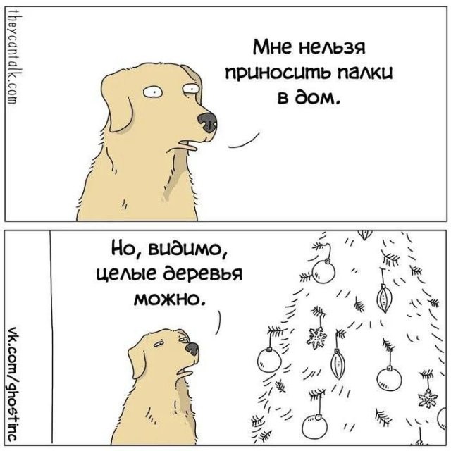 Скрины из соцсетей 