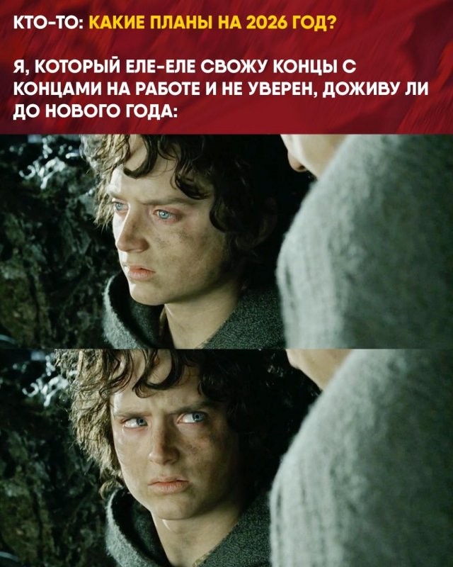 Скрины из соцсетей 