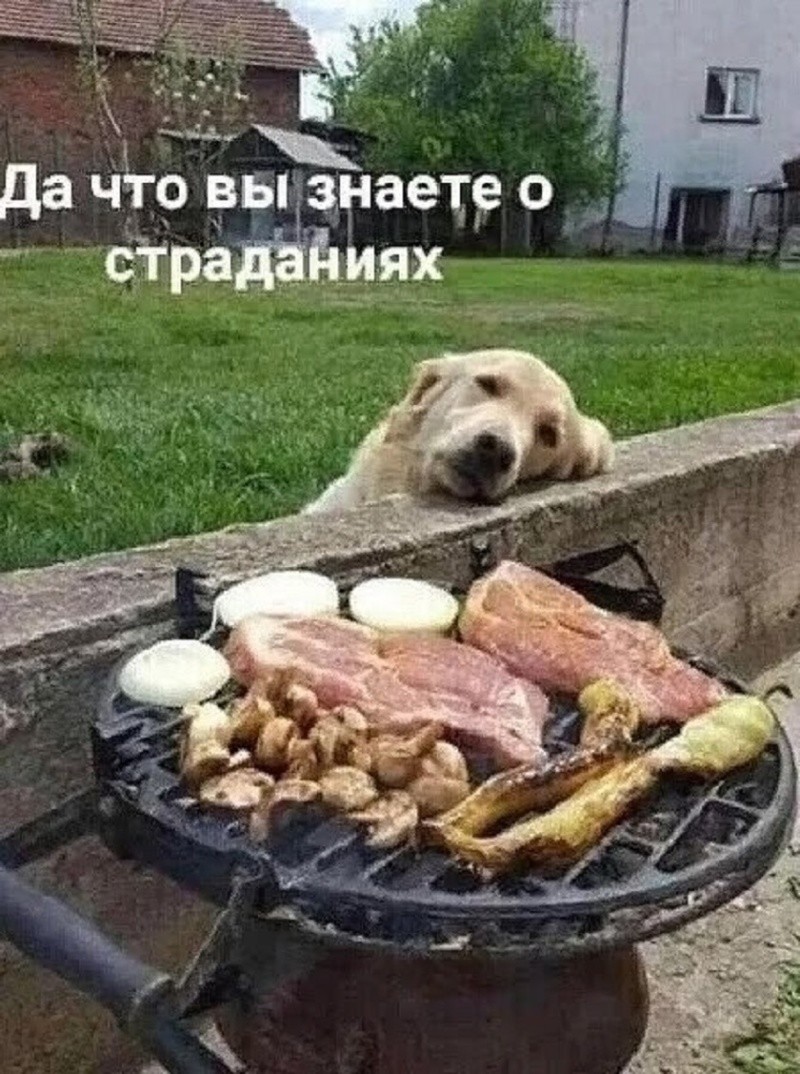 Не ищите здесь смысл. Здесь в основном маразм